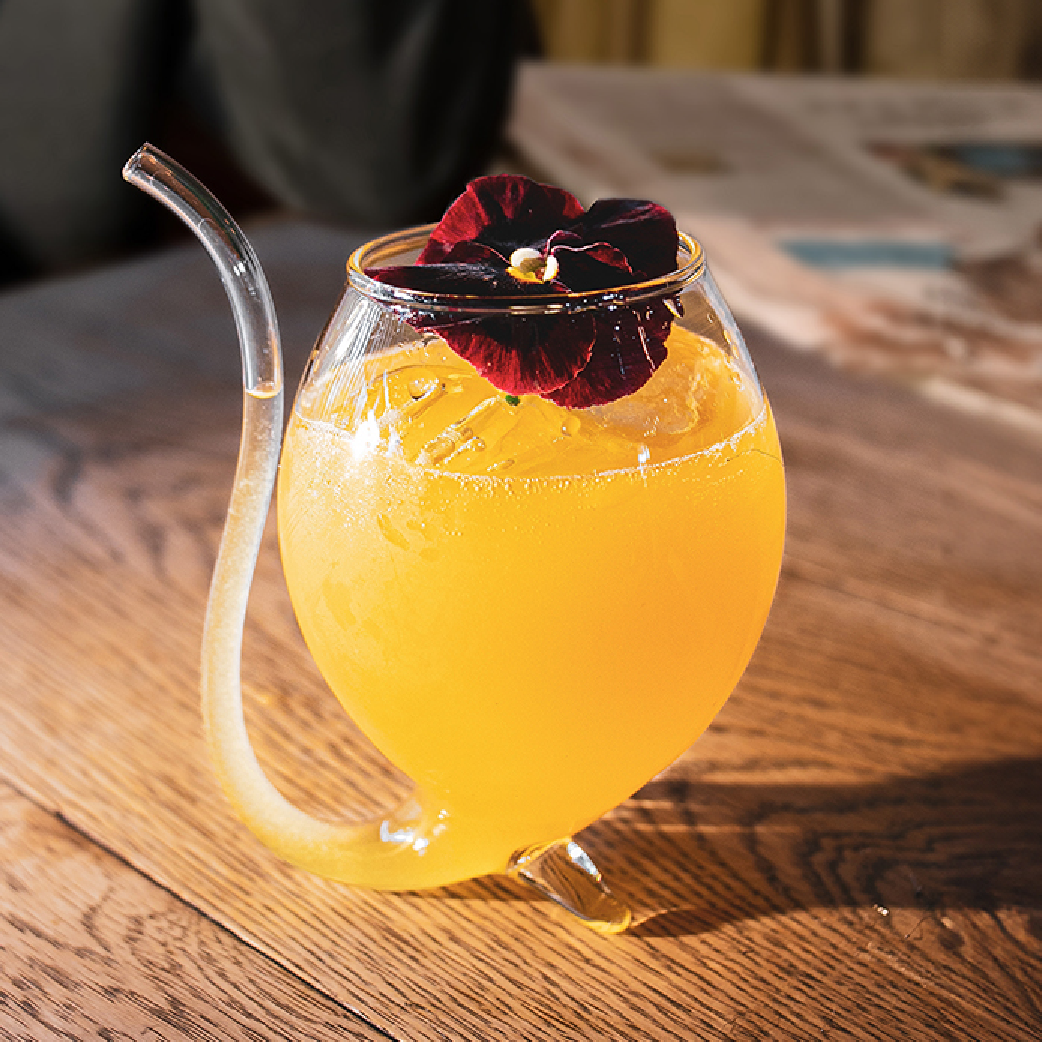 Mimosa Casa Prime